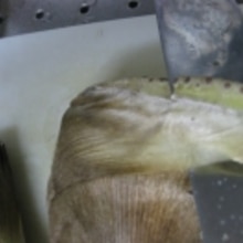 生孟宗筍の茹で方 レシピ 作り方 By れいちゃっ 楽天レシピ 生孟宗筍の茹で方 レシピ 作り方 By れいちゃっ 楽天レシピ